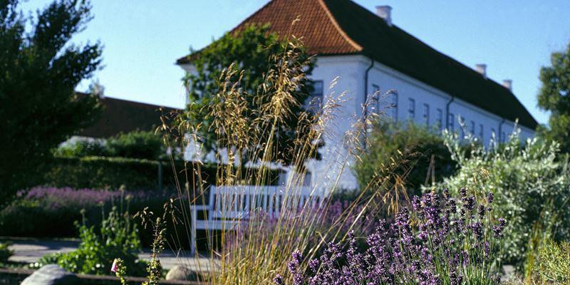 Danhostel Vitskol Kloster Ranum Exteriér fotografie